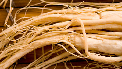 PANAX GINSENG